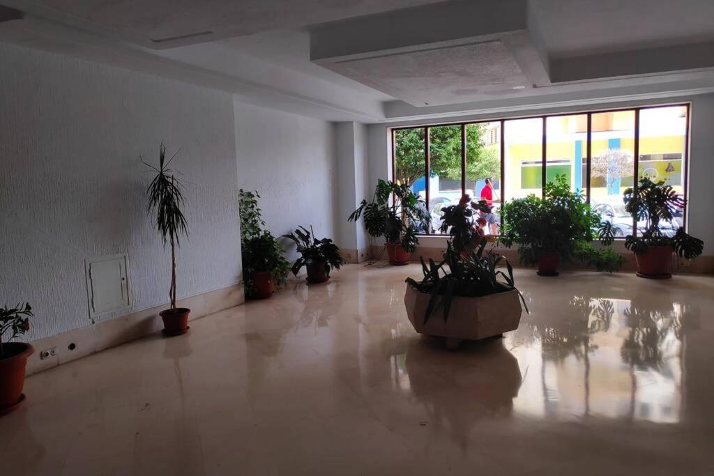 Recien Reformado, Piscinas, Fire Stick Amazon, Wifi, Terraza Apartamento